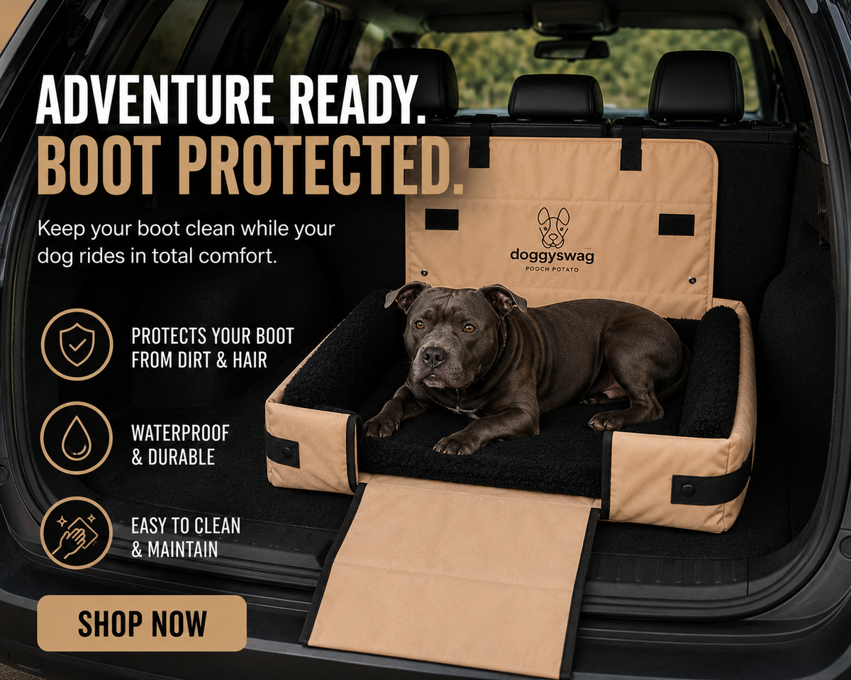 Pooch Potato dog bed