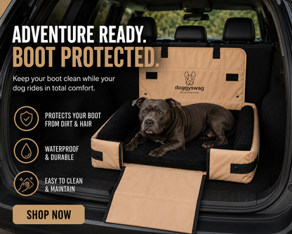 Pooch Potato dog bed